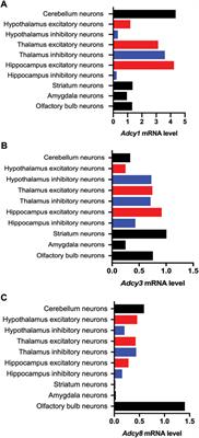 Ca2+-stimulated adenylyl cyclases as therapeutic targets for psychiatric and neurodevelopmental disorders